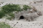 A luxury rabbit hole