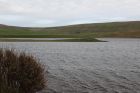 The site of Tingwall, Low Ting Holm, Loch of Tingwall