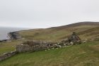 Ruined croft, Noss Sound
