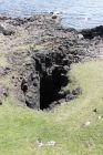 Stennes. A blow hole.