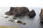 Eshaness cliffs