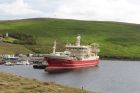 Largest Shetland fishing boat, Cullafirth