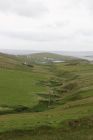 Ollaberry fault line