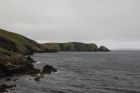 Horse of Burravoe
